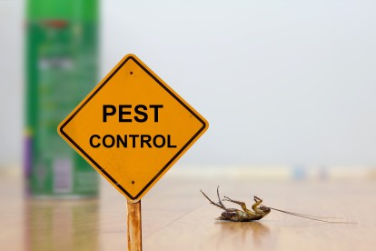 Pest Contol in Oxhey, South Oxhey, WD19. Call Now 020 8166 9746
